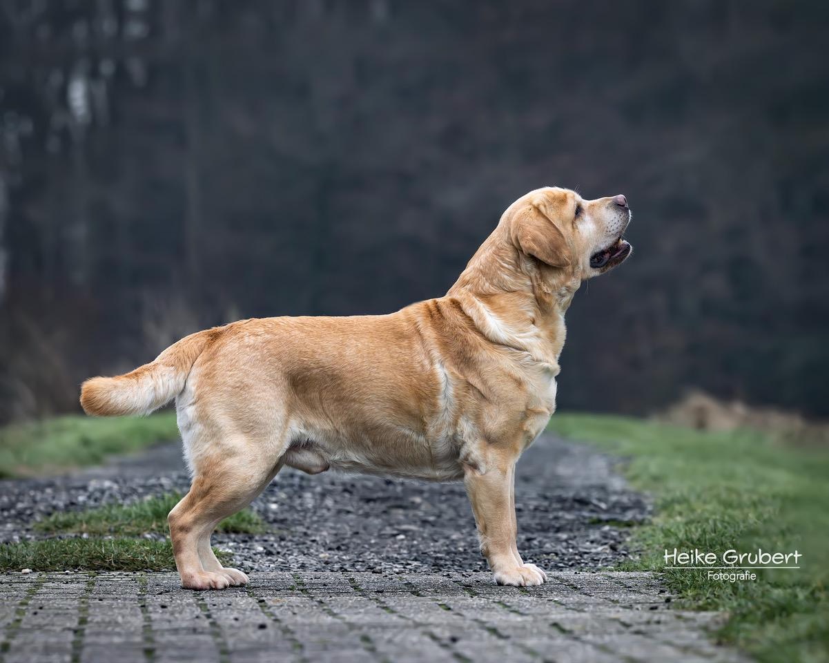 Bild von
                            Brian