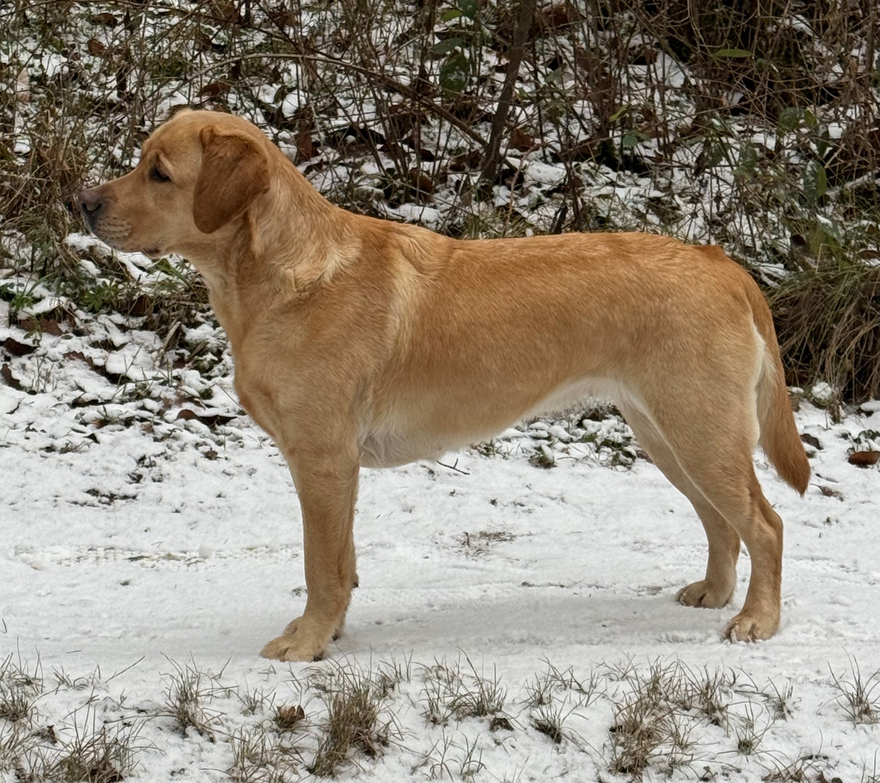 Bild von
                        Elsa