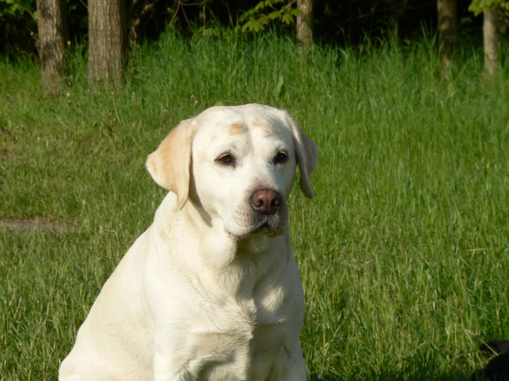 Bild von
Lilly