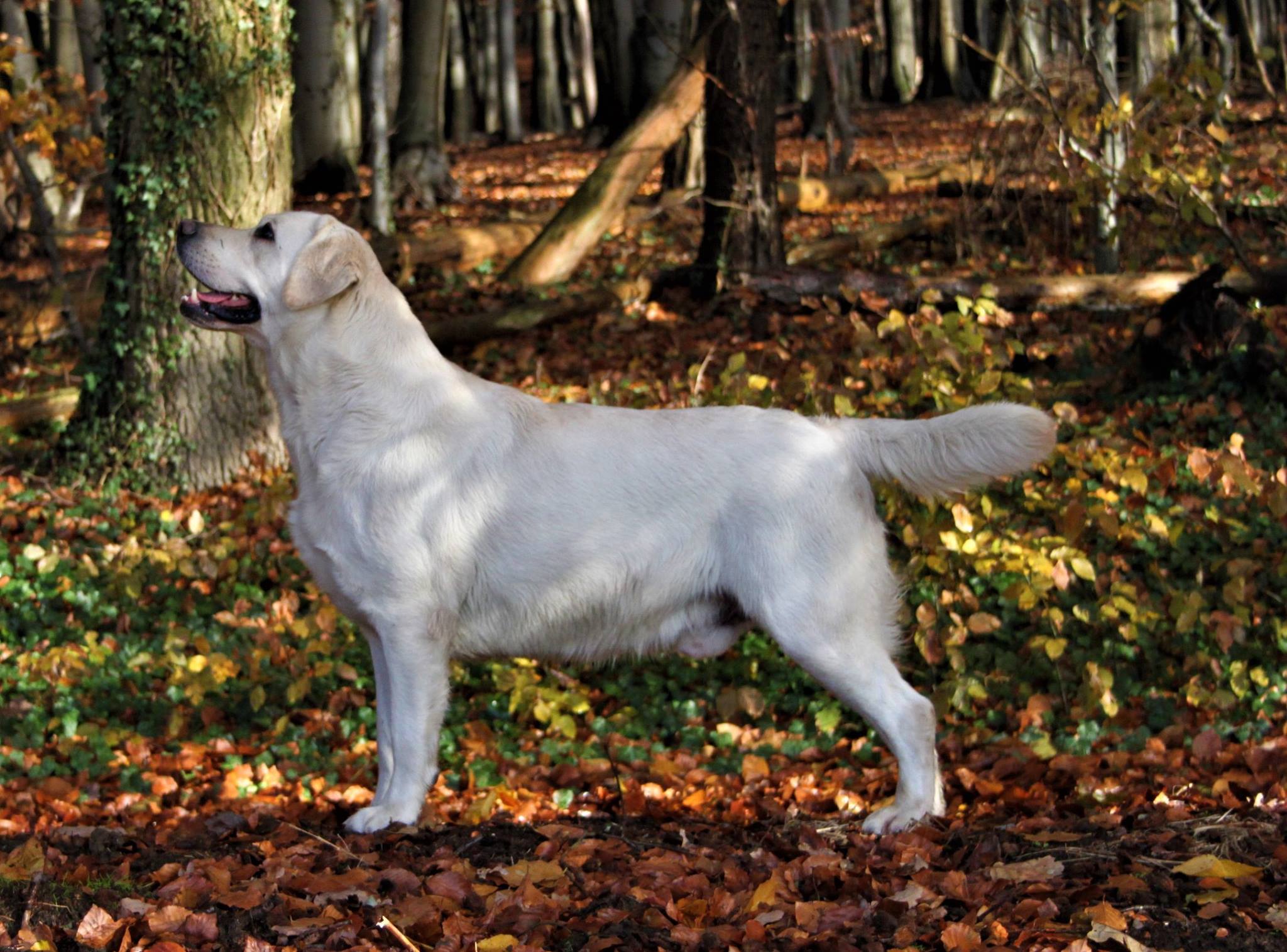 Bild von
Fiete