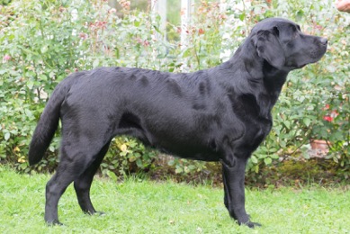 Bild von
Kleo